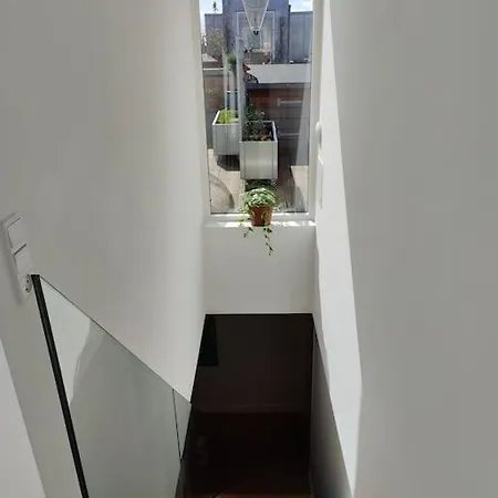 Penthouse Apartment
